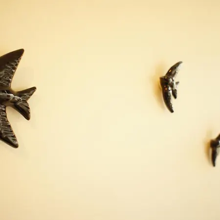 Apartment Ferreira Borges *